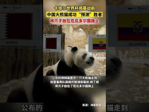 中国女足超,级联赛揭幕,战火热开启,拼搏在线彩神通,彩票预测,在线投注,彩票分析,彩票平台